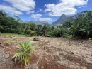  Terrain 0 m² Paopao Moorea  pièces