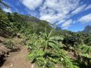  Terrain Paopao Moorea 0 m²  pièces