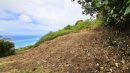 Superbe parcelle avec vue imprenable sur TAHITI