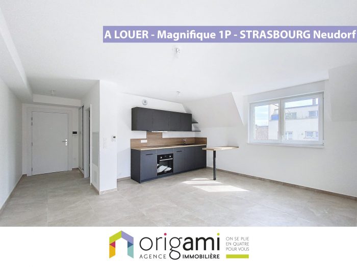 Appartement à louer, 1 pièce - Strasbourg 67100