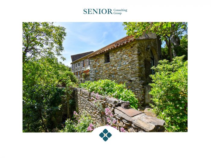 Maison ancienne à vendre en viager, 10 pièces - Olargues 34390