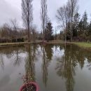 chalet avec deux étangs