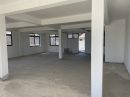  Immobilier Pro 110 m² 0 pièces Faaa 