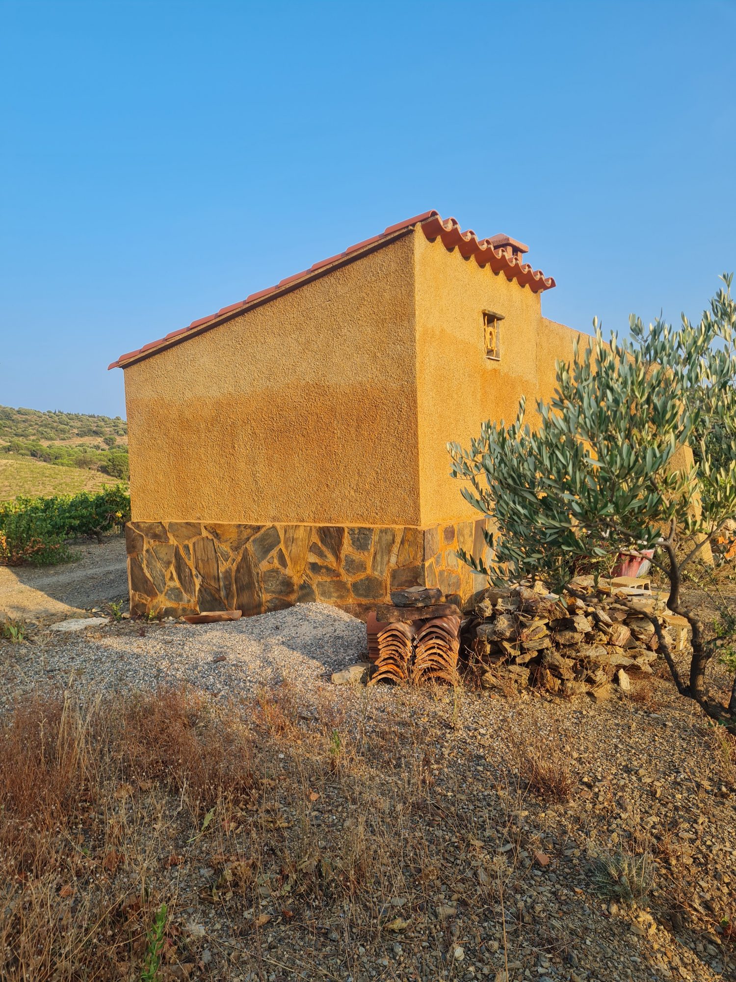 Vignes et cabanon vue mer