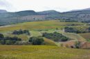  Propriété <b class='safer_land_value'>80 ha </b> Aude 