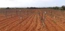  Propriété <b class='safer_land_value'>13 ha 50 a </b> Pyrénées-Orientales 