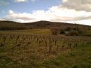  Propriété <b class='safer_land_value'>15 ha </b> Ardèche 