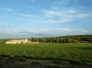  Propriété <b class='safer_land_value'>19 ha 82 a 65 ca</b> Hérault 