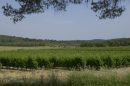  Propriété <b class='safer_land_value'>19 ha 82 a 65 ca</b> Hérault 