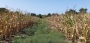  Propriété <b class='safer_land_value'>24 ha 19 a 93 ca</b> Charente-Maritime 