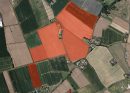  Propriété <b class='safer_land_value'>39 ha 80 a </b> Lot-et-Garonne 