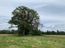  Propriété <b class='safer_land_value'>13 ha 59 a 10 ca</b> Loiret 