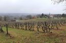  Propriété <b class='safer_land_value'>22 ha 24 a 93 ca</b> Dordogne 