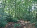  Propriété <b class='safer_land_value'>43 ha 90 a </b> Corrèze 