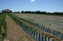  Propriété <b class='safer_land_value'>11 ha 80 a 91 ca</b> Yonne 