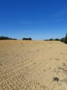  Propriété <b class='safer_land_value'>15 ha 07 a 61 ca</b> Landes 