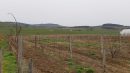  Propriété <b class='safer_land_value'>06 ha 77 a </b> Vosges 