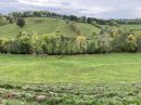  Propriété <b class='safer_land_value'>22 ha </b> Cantal 