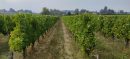  Propriété <b class='safer_land_value'>09 ha 11 a 77 ca</b> Gironde 