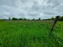  Propriété <b class='safer_land_value'>34 ha 25 a 25 ca</b> Gironde 