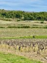  Propriété <b class='safer_land_value'>52 ha 29 a 29 ca</b> Vaucluse 