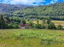  Propriété <b class='safer_land_value'>58 ha </b> Corrèze 