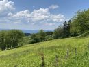  Propriété <b class='safer_land_value'>02 ha 72 a 51 ca</b> Puy-de-Dôme 