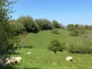  Propriété <b class='safer_land_value'>28 ha 71 a 53 ca</b> Puy-de-Dôme 