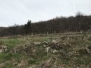  Propriété <b class='safer_land_value'>40 ha </b> Ardèche 