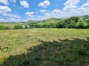  Propriété <b class='safer_land_value'>06 ha 28 a 81 ca</b> Haute-Garonne 