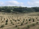  Propriété <b class='safer_land_value'>40 ha 58 a 64 ca</b> Dordogne 