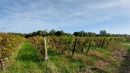  Propriété <b class='safer_land_value'>18 ha 76 a 85 ca</b> Gironde 