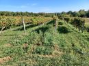  Propriété <b class='safer_land_value'>12 ha 46 a 42 ca</b> Charente-Maritime 