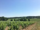  Propriété <b class='safer_land_value'>38 ha 35 a 76 ca</b> Gironde 