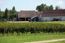  Propriété <b class='safer_land_value'>38 ha 35 a 76 ca</b> Gironde 