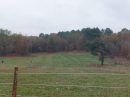  Propriété <b class='safer_land_value'>28 ha 52 a 96 ca</b> Dordogne 