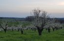  Propriété <b class='safer_land_value'>49 ha 30 a </b> Lot-et-Garonne 