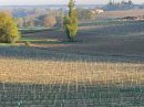  Propriété <b class='safer_land_value'>59 ha 78 a 10 ca</b> Dordogne 