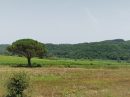  Propriété <b class='safer_land_value'>17 ha 48 a 28 ca</b> Landes 