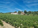  Propriété <b class='safer_land_value'>49 ha 16 a 62 ca</b> Hérault 