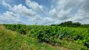  Propriété <b class='safer_land_value'>12 ha 60 a </b> Gironde 