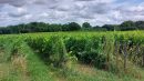  Propriété <b class='safer_land_value'>12 ha 60 a </b> Gironde 