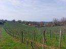  Propriété <b class='safer_land_value'>06 ha 66 a 52 ca</b> Dordogne 