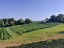  Propriété <b class='safer_land_value'>06 ha 66 a 52 ca</b> Dordogne 