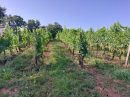  Propriété <b class='safer_land_value'>06 ha 66 a 52 ca</b> Dordogne 