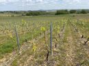  Propriété <b class='safer_land_value'>01 ha 05 a 53 ca</b> Rhône 