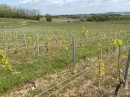  Propriété <b class='safer_land_value'>01 ha 05 a 53 ca</b> Rhône 