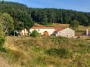  Propriété <b class='safer_land_value'>58 ha 13 a 84 ca</b> Loire 