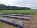  Propriété <b class='safer_land_value'>29 ha </b> Loire-Atlantique 