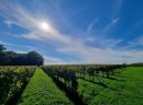  Propriété <b class='safer_land_value'>09 ha 39 a 36 ca</b> Charente-Maritime 